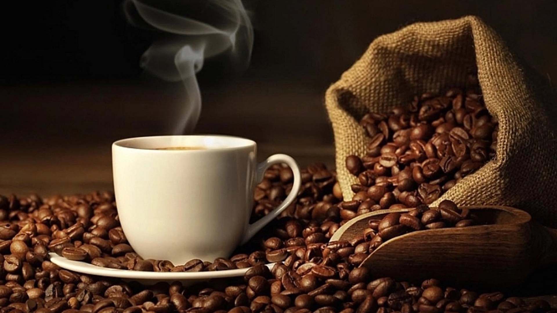Giá các loại cà phê trong nước và thế giới cập nhật ngày 04/05/2024