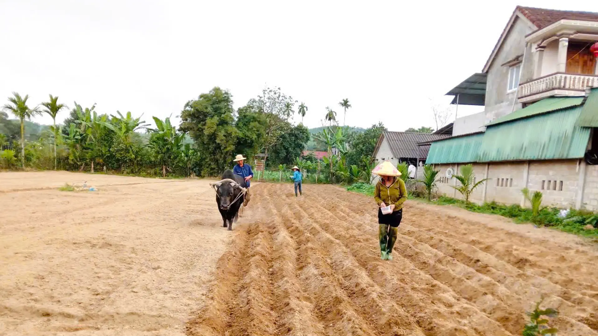 Từ khâu làm đất, gieo trồng đến theo dõi sâu bệnh, các chị em đều tích cực tham gia, chia sẻ kinh nghiệm.