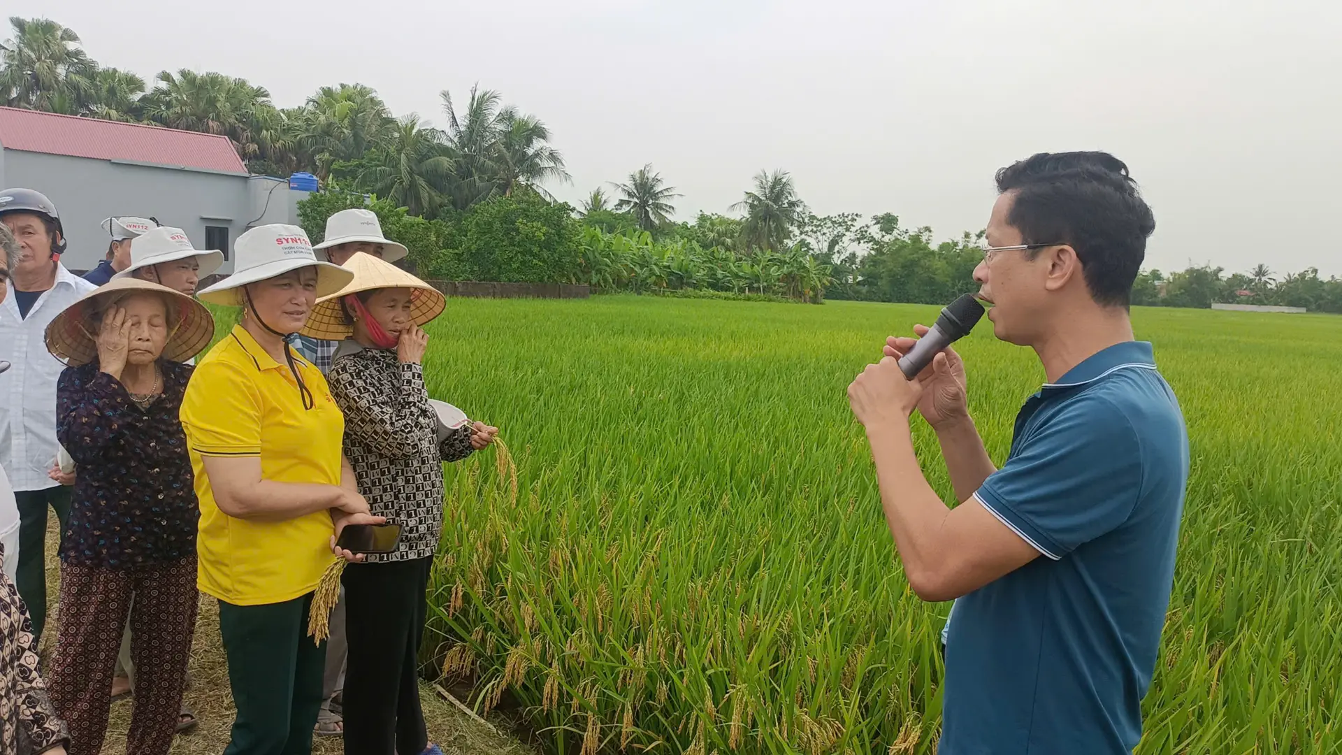 Bà con nông dân tham gia thảo luận về giống lúa lai 3 dòng SYN12.