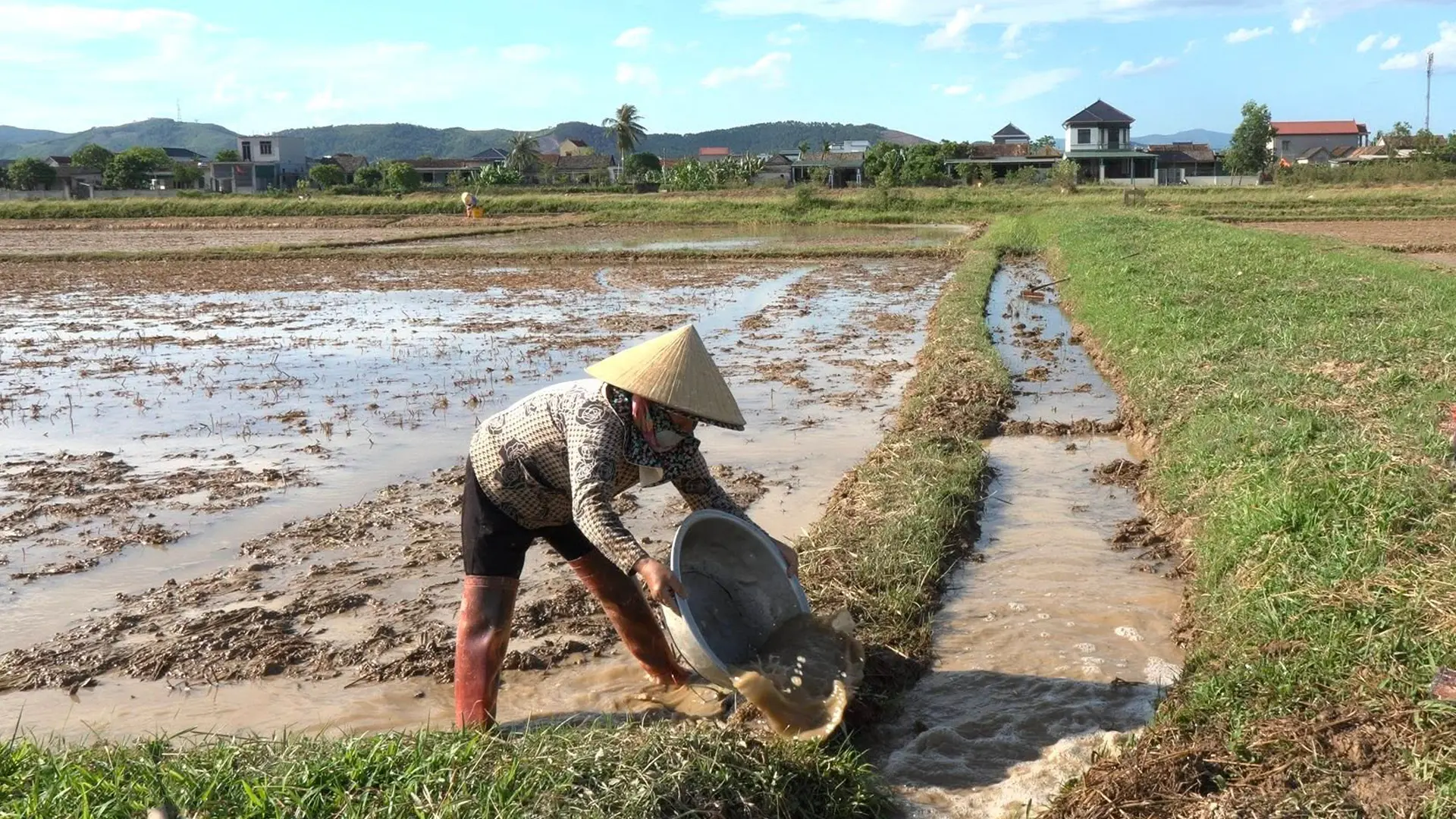 Địa phương dự kiến hoàn thành toàn bộ kế hoạch gieo cấy lúa Hè Thu vào đầu tháng 6/2026.