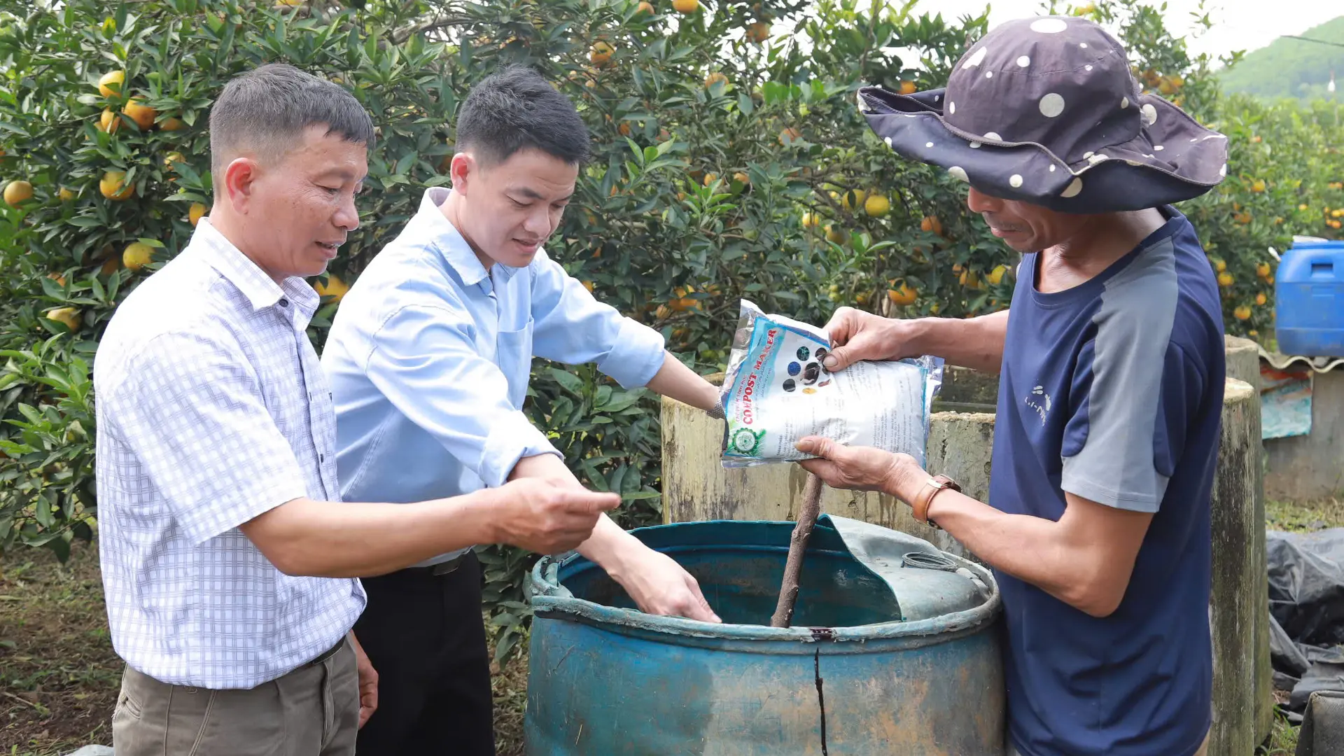 Hướng dẫn sử dụng chế phẩm sinh học cho cây ăn quả.